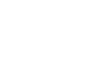 LogoCGElementum_vertikal_zentriert_weiss